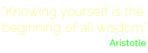 Alternate Text